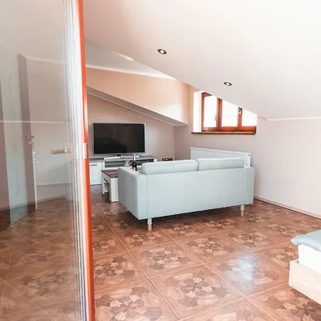 Point Flat, Beautiful View From Terrace To Castle Прага